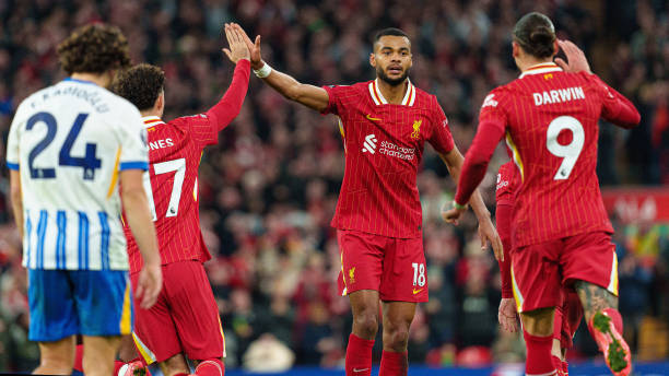 疑会为勒沃 疑会为勒沃